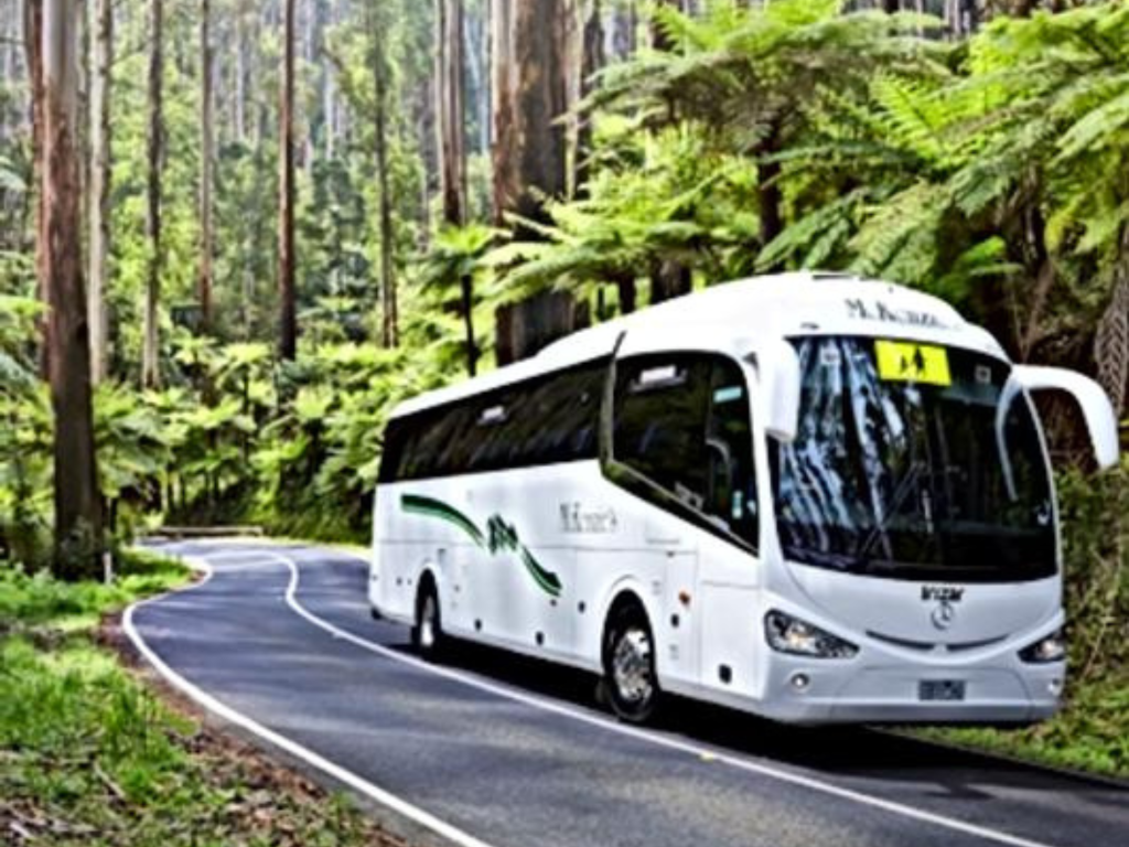 Bush Kindy Australia Bus Tour Program